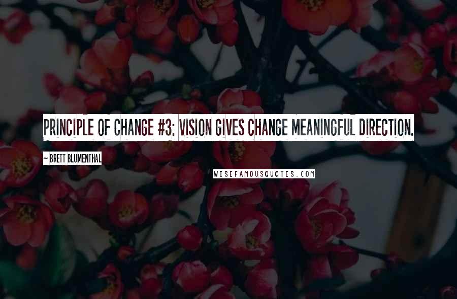 Brett Blumenthal Quotes: Principle of Change #3: Vision gives change meaningful direction.