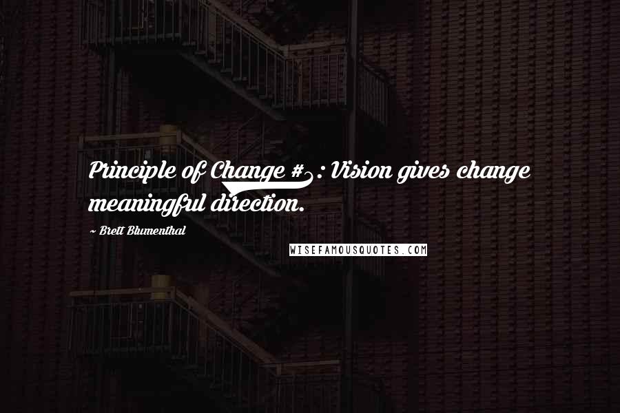 Brett Blumenthal Quotes: Principle of Change #3: Vision gives change meaningful direction.