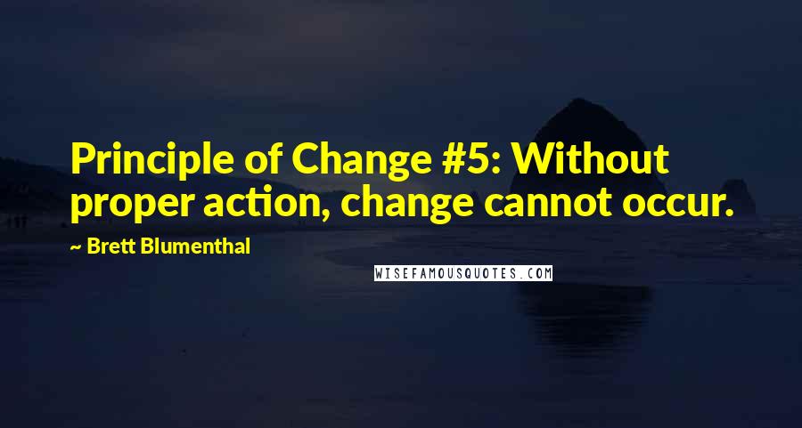 Brett Blumenthal Quotes: Principle of Change #5: Without proper action, change cannot occur.