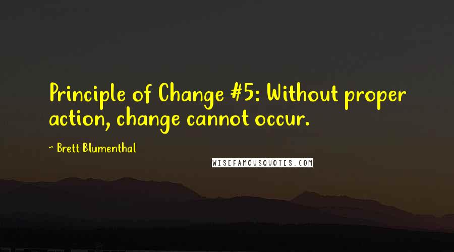 Brett Blumenthal Quotes: Principle of Change #5: Without proper action, change cannot occur.