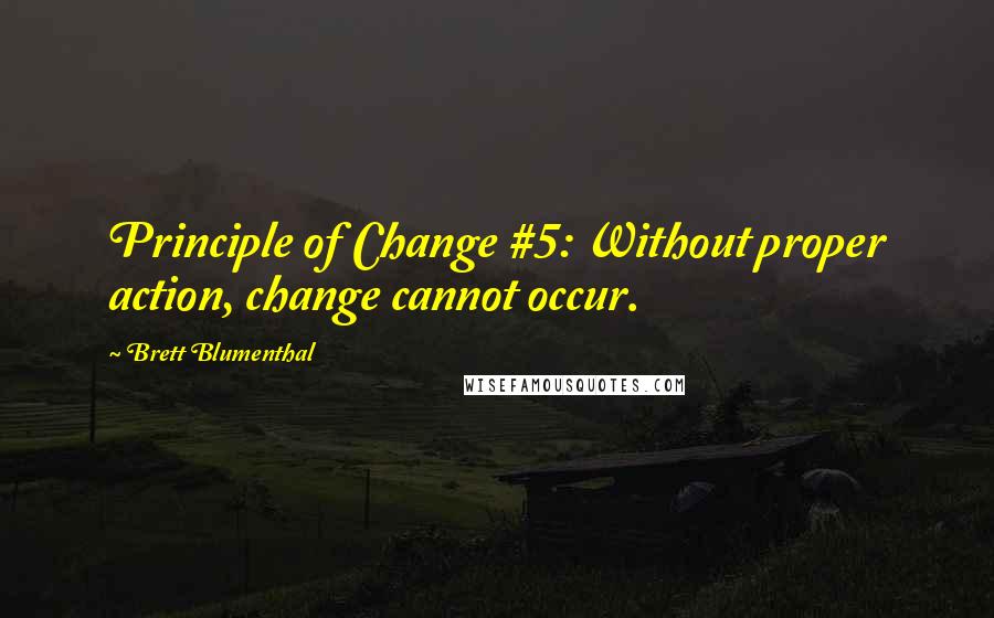 Brett Blumenthal Quotes: Principle of Change #5: Without proper action, change cannot occur.