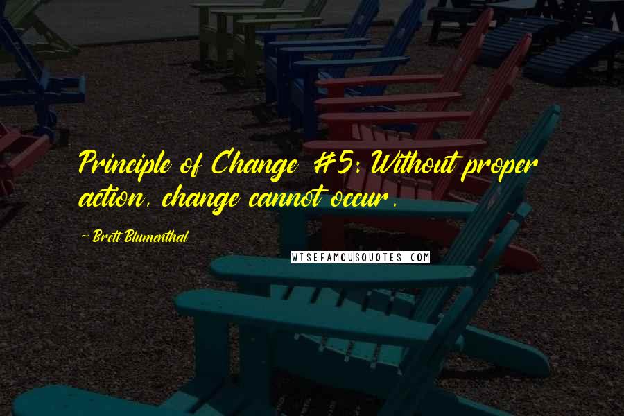 Brett Blumenthal Quotes: Principle of Change #5: Without proper action, change cannot occur.