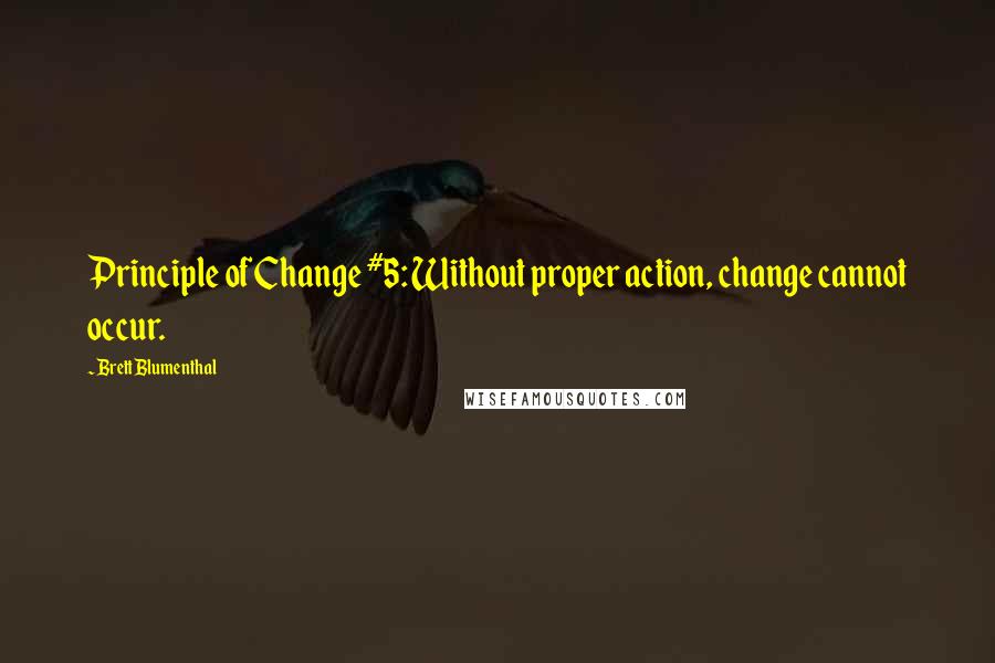 Brett Blumenthal Quotes: Principle of Change #5: Without proper action, change cannot occur.