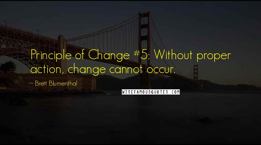 Brett Blumenthal Quotes: Principle of Change #5: Without proper action, change cannot occur.