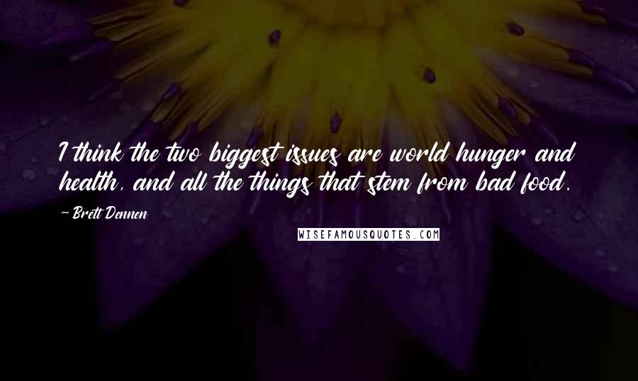 Brett Dennen Quotes: I think the two biggest issues are world hunger and health, and all the things that stem from bad food.