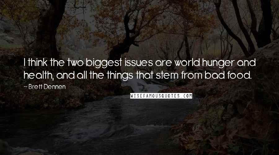 Brett Dennen Quotes: I think the two biggest issues are world hunger and health, and all the things that stem from bad food.