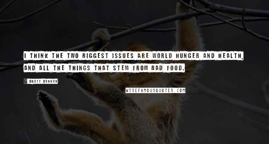 Brett Dennen Quotes: I think the two biggest issues are world hunger and health, and all the things that stem from bad food.