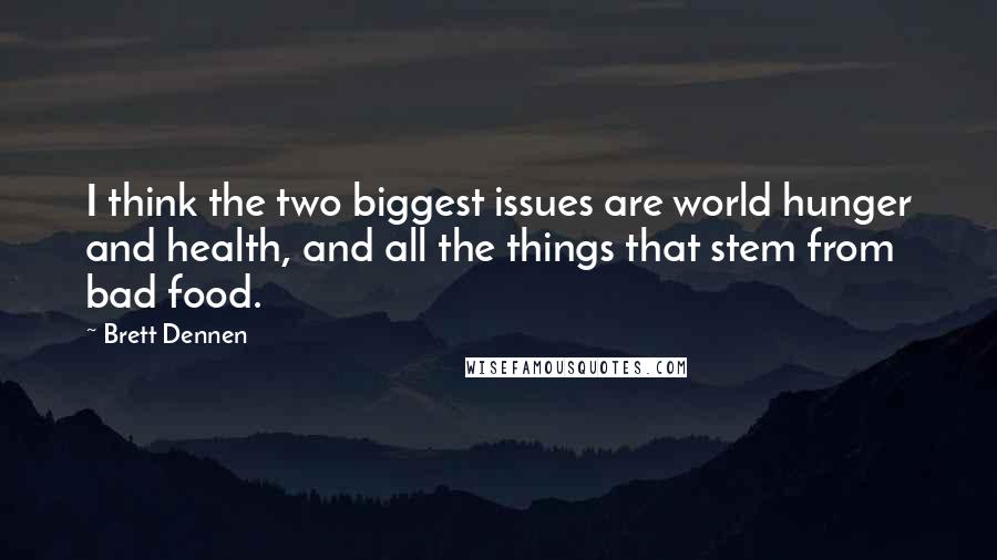 Brett Dennen Quotes: I think the two biggest issues are world hunger and health, and all the things that stem from bad food.