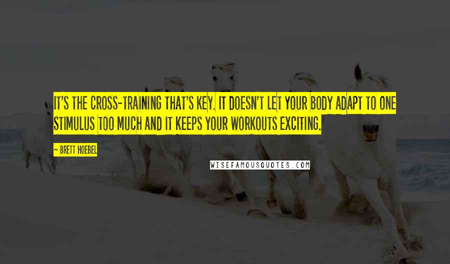 Brett Hoebel Quotes: It's the cross-training that's key. It doesn't let your body adapt to one stimulus too much and it keeps your workouts exciting.