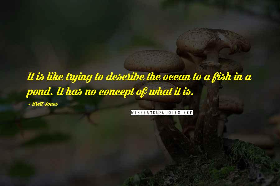 Brett Jones Quotes: It is like trying to describe the ocean to a fish in a pond. It has no concept of what it is.