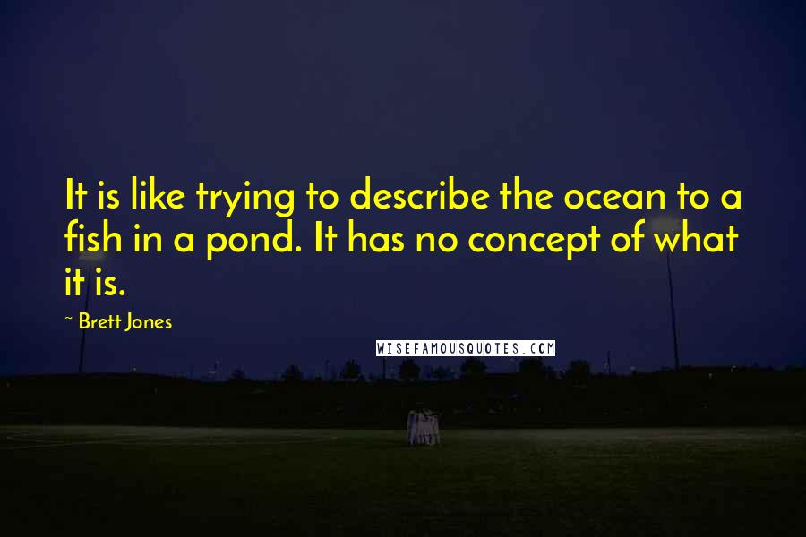 Brett Jones Quotes: It is like trying to describe the ocean to a fish in a pond. It has no concept of what it is.