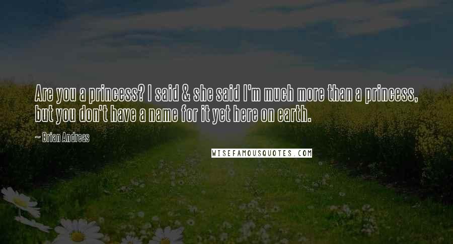 Brian Andreas Quotes: Are you a princess? I said & she said I'm much more than a princess, but you don't have a name for it yet here on earth.