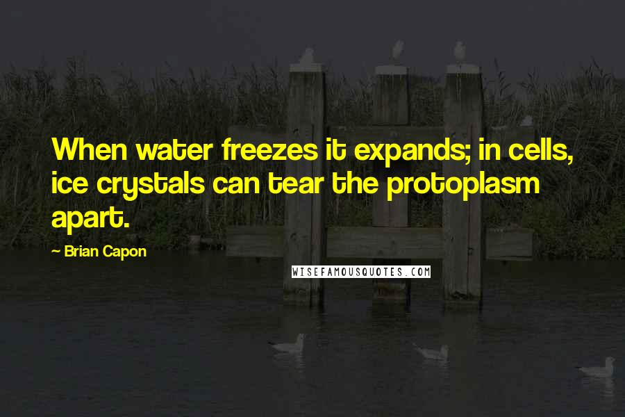 Brian Capon Quotes: When water freezes it expands; in cells, ice crystals can tear the protoplasm apart.