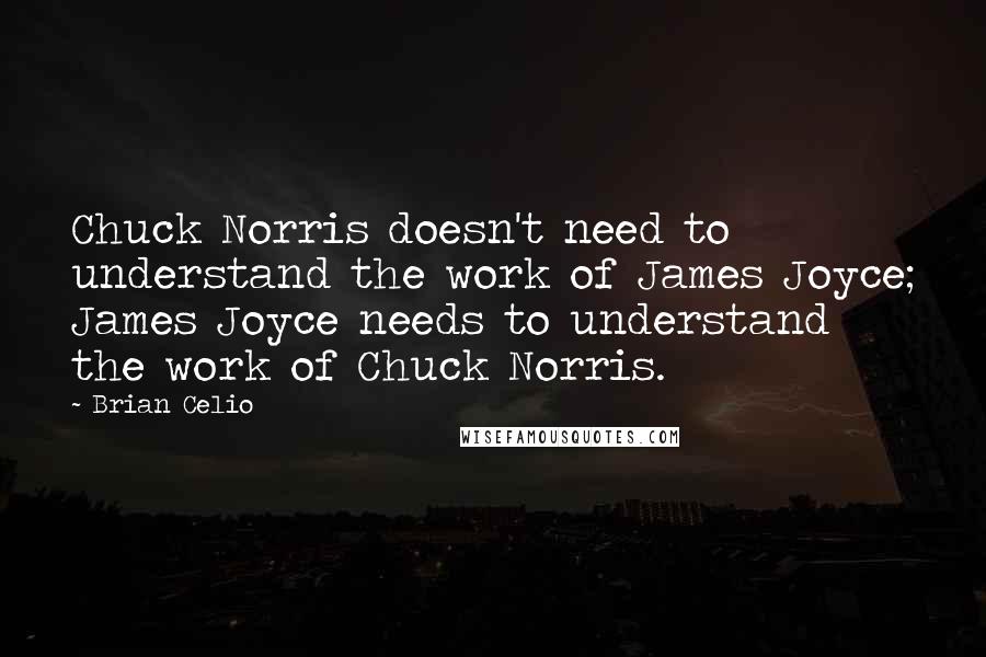 Brian Celio Quotes: Chuck Norris doesn't need to understand the work of James Joyce; James Joyce needs to understand the work of Chuck Norris.