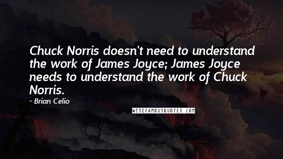 Brian Celio Quotes: Chuck Norris doesn't need to understand the work of James Joyce; James Joyce needs to understand the work of Chuck Norris.