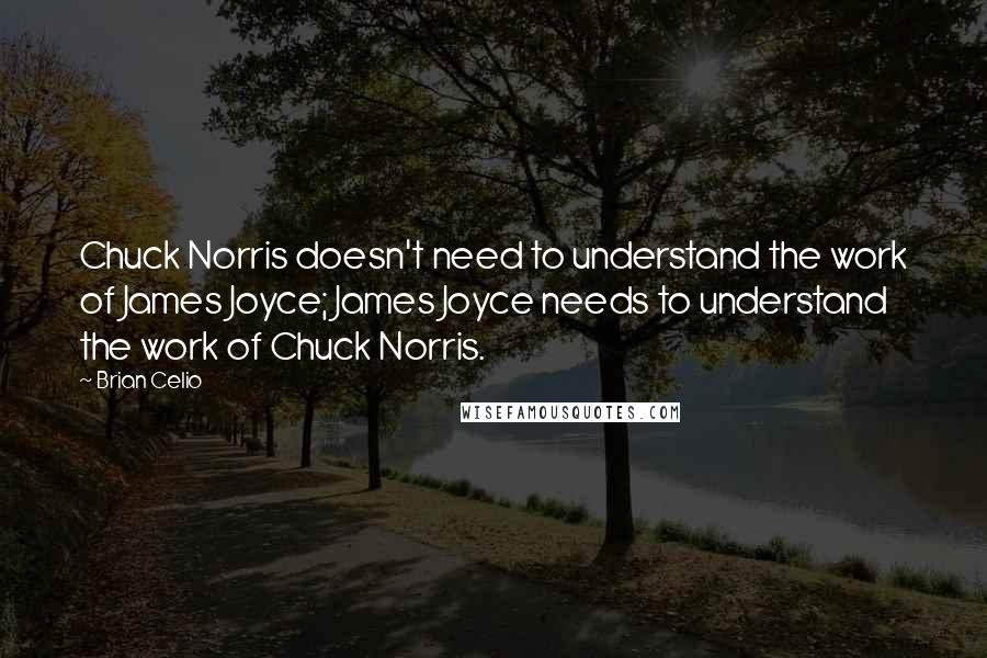 Brian Celio Quotes: Chuck Norris doesn't need to understand the work of James Joyce; James Joyce needs to understand the work of Chuck Norris.