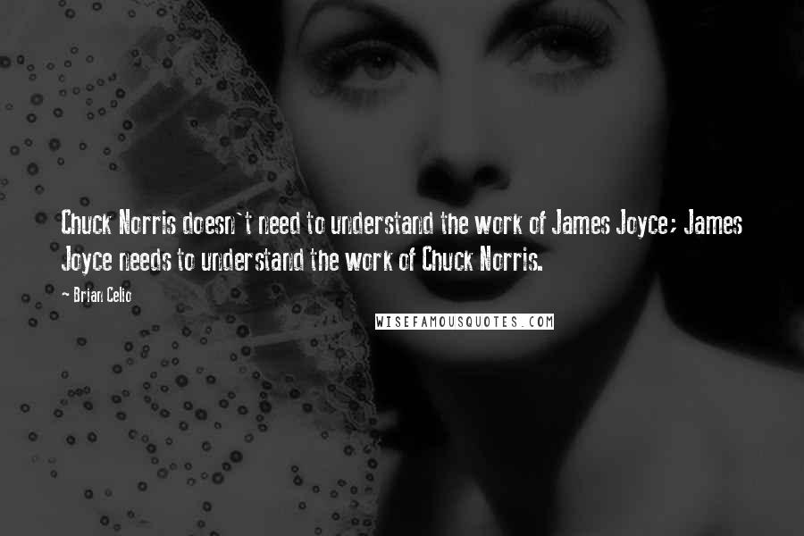 Brian Celio Quotes: Chuck Norris doesn't need to understand the work of James Joyce; James Joyce needs to understand the work of Chuck Norris.