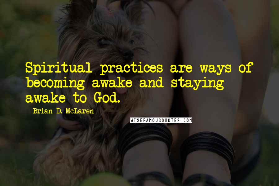 Brian D. McLaren Quotes: Spiritual practices are ways of becoming awake and staying awake to God.