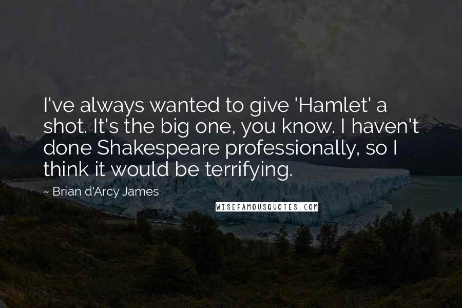 Brian D'Arcy James Quotes: I've always wanted to give 'Hamlet' a shot. It's the big one, you know. I haven't done Shakespeare professionally, so I think it would be terrifying.