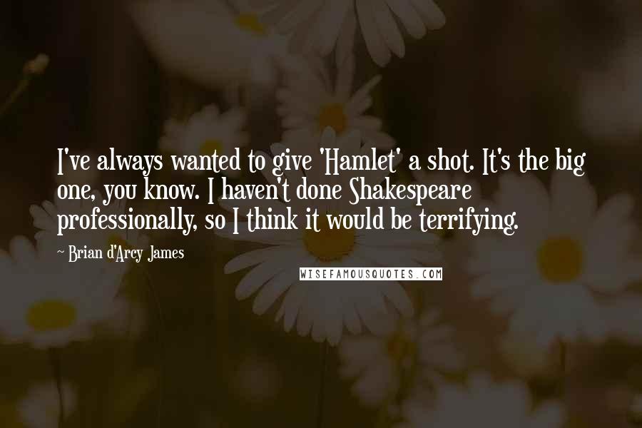 Brian D'Arcy James Quotes: I've always wanted to give 'Hamlet' a shot. It's the big one, you know. I haven't done Shakespeare professionally, so I think it would be terrifying.