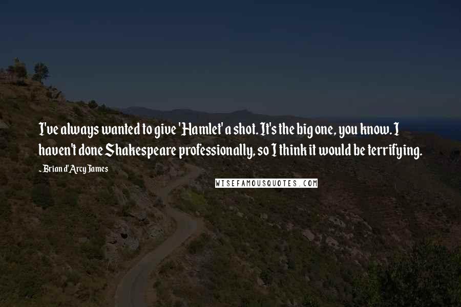 Brian D'Arcy James Quotes: I've always wanted to give 'Hamlet' a shot. It's the big one, you know. I haven't done Shakespeare professionally, so I think it would be terrifying.