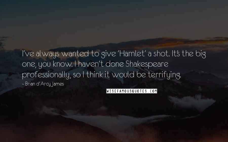Brian D'Arcy James Quotes: I've always wanted to give 'Hamlet' a shot. It's the big one, you know. I haven't done Shakespeare professionally, so I think it would be terrifying.