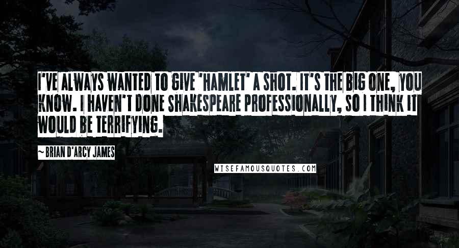 Brian D'Arcy James Quotes: I've always wanted to give 'Hamlet' a shot. It's the big one, you know. I haven't done Shakespeare professionally, so I think it would be terrifying.