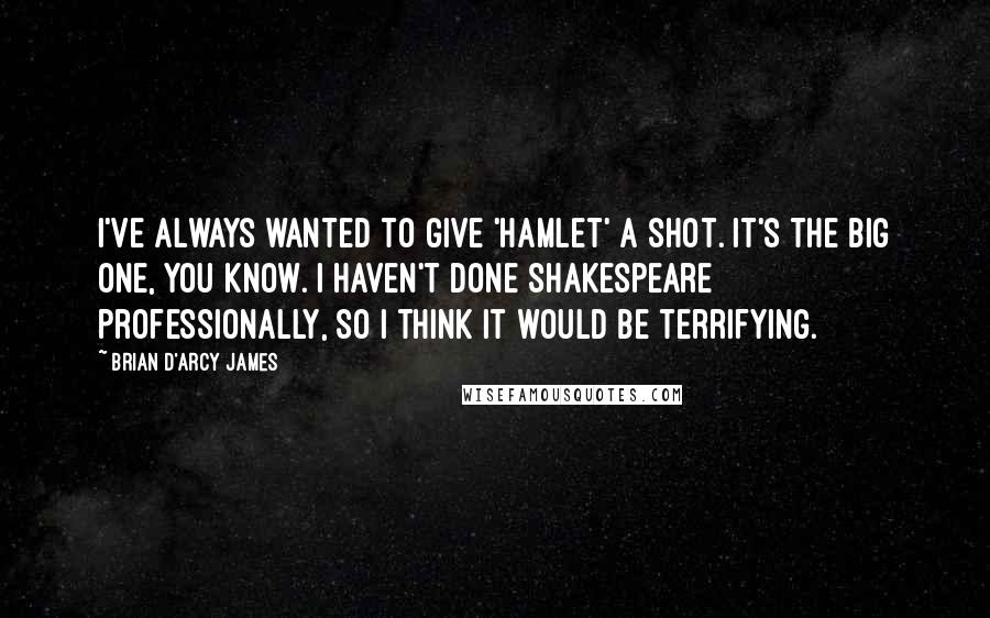 Brian D'Arcy James Quotes: I've always wanted to give 'Hamlet' a shot. It's the big one, you know. I haven't done Shakespeare professionally, so I think it would be terrifying.