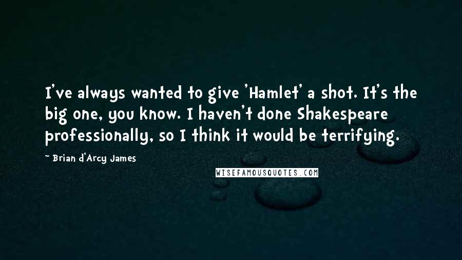 Brian D'Arcy James Quotes: I've always wanted to give 'Hamlet' a shot. It's the big one, you know. I haven't done Shakespeare professionally, so I think it would be terrifying.