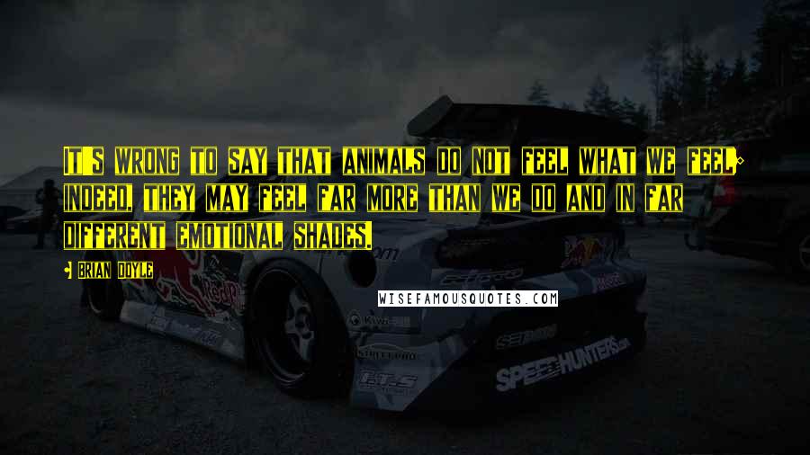Brian Doyle Quotes: It's wrong to say that animals do not feel what we feel; indeed, they may feel far more than we do and in far different emotional shades.