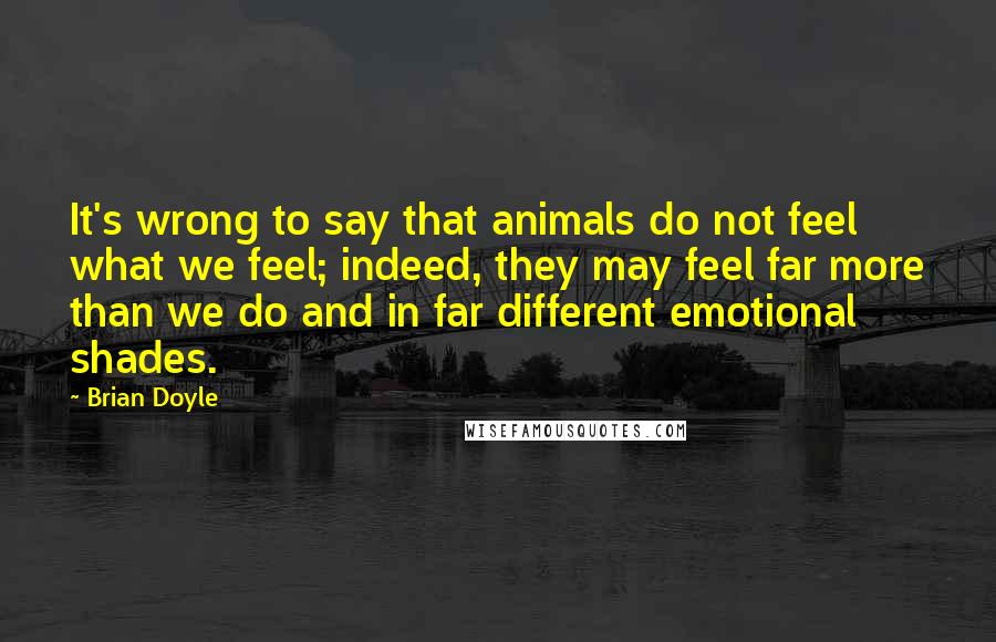 Brian Doyle Quotes: It's wrong to say that animals do not feel what we feel; indeed, they may feel far more than we do and in far different emotional shades.