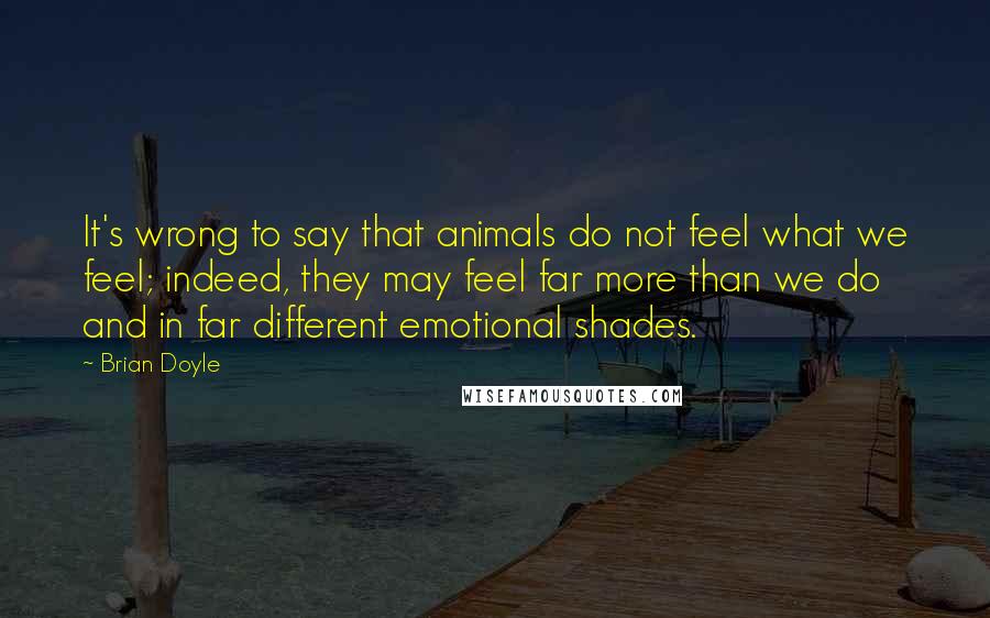 Brian Doyle Quotes: It's wrong to say that animals do not feel what we feel; indeed, they may feel far more than we do and in far different emotional shades.