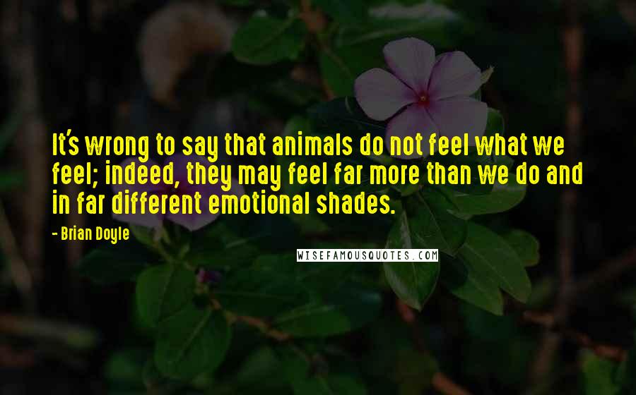 Brian Doyle Quotes: It's wrong to say that animals do not feel what we feel; indeed, they may feel far more than we do and in far different emotional shades.