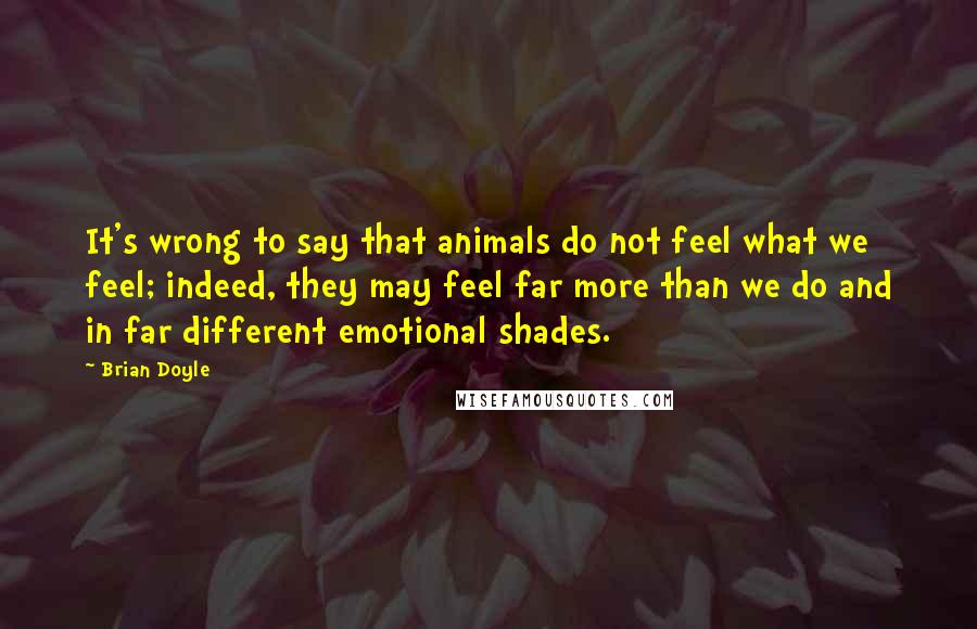 Brian Doyle Quotes: It's wrong to say that animals do not feel what we feel; indeed, they may feel far more than we do and in far different emotional shades.