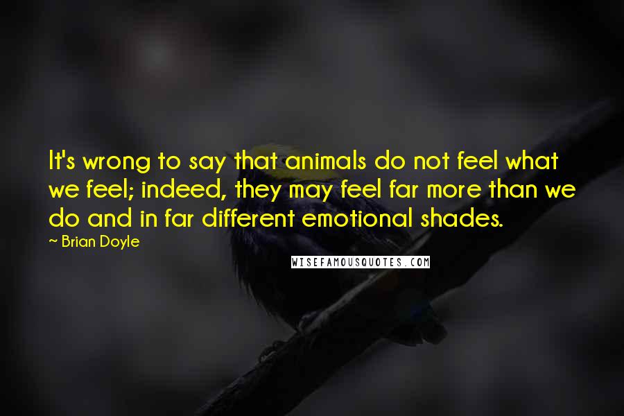 Brian Doyle Quotes: It's wrong to say that animals do not feel what we feel; indeed, they may feel far more than we do and in far different emotional shades.