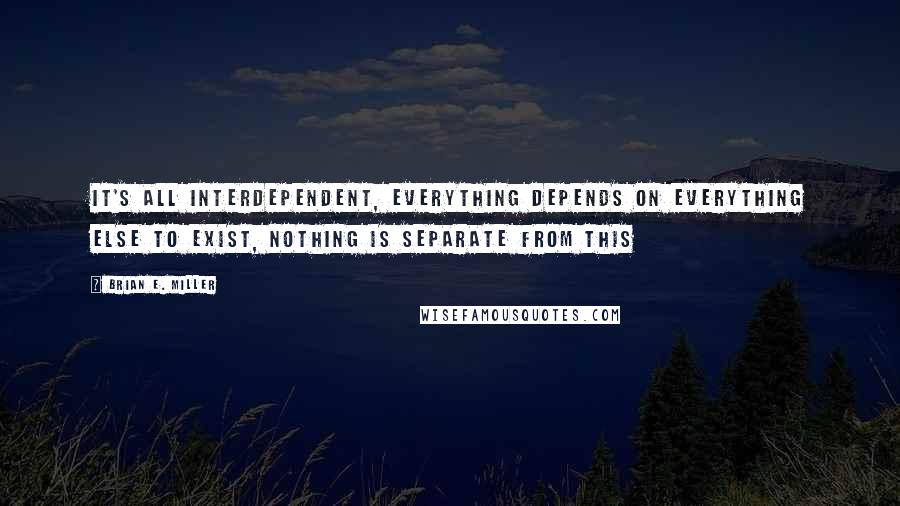 Brian E. Miller Quotes: It's all interdependent, everything depends on everything else to exist, nothing is separate from this