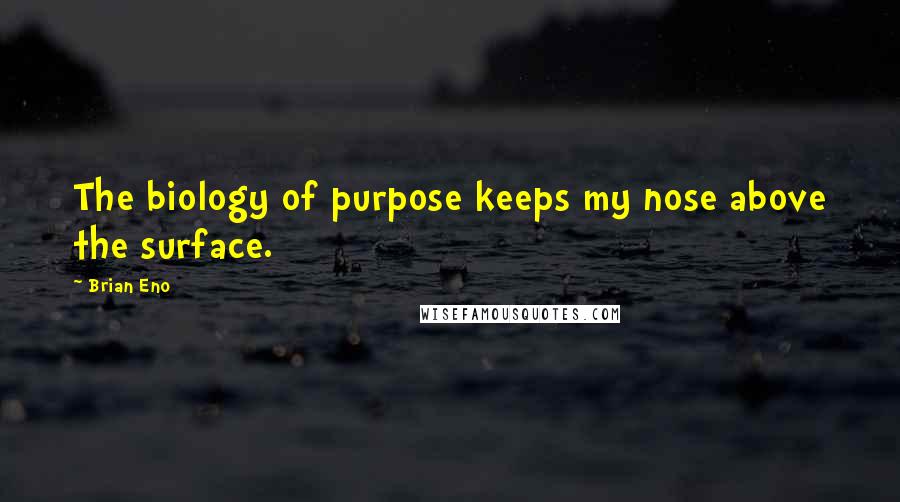 Brian Eno Quotes: The biology of purpose keeps my nose above the surface.