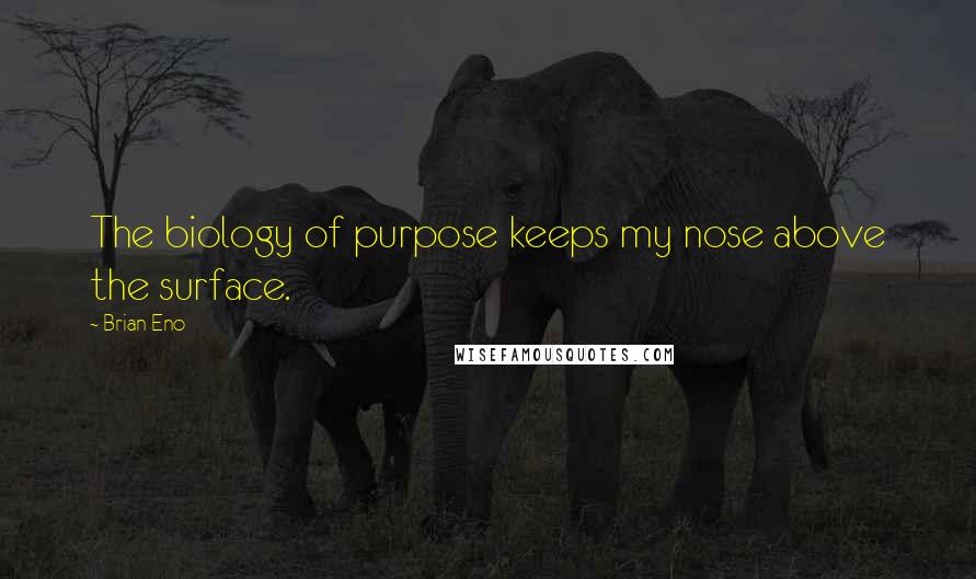 Brian Eno Quotes: The biology of purpose keeps my nose above the surface.
