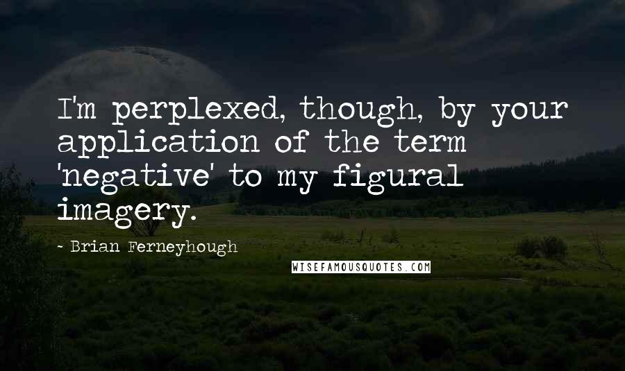 Brian Ferneyhough Quotes: I'm perplexed, though, by your application of the term 'negative' to my figural imagery.