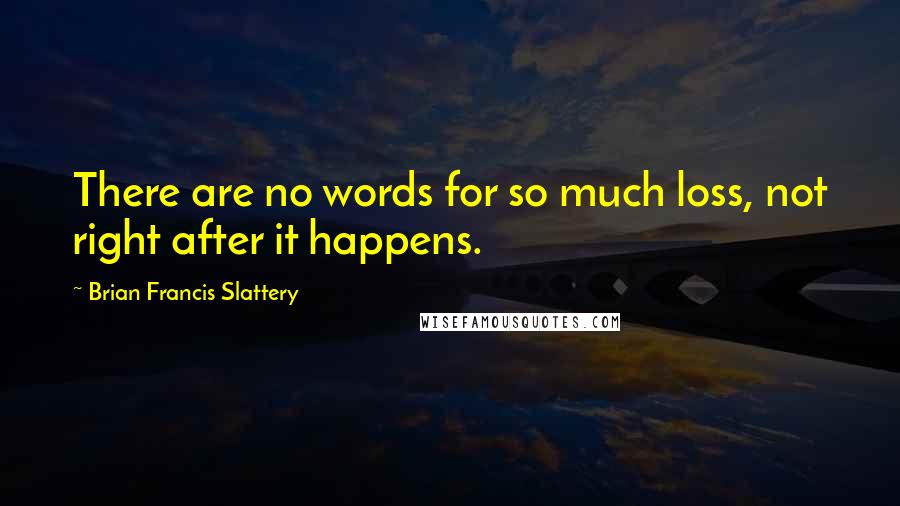 Brian Francis Slattery Quotes: There are no words for so much loss, not right after it happens.