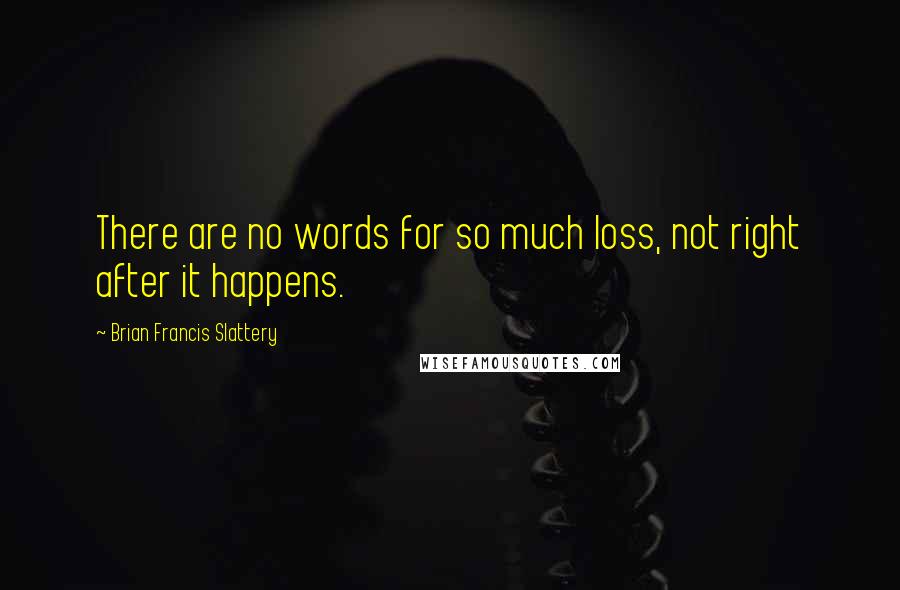 Brian Francis Slattery Quotes: There are no words for so much loss, not right after it happens.