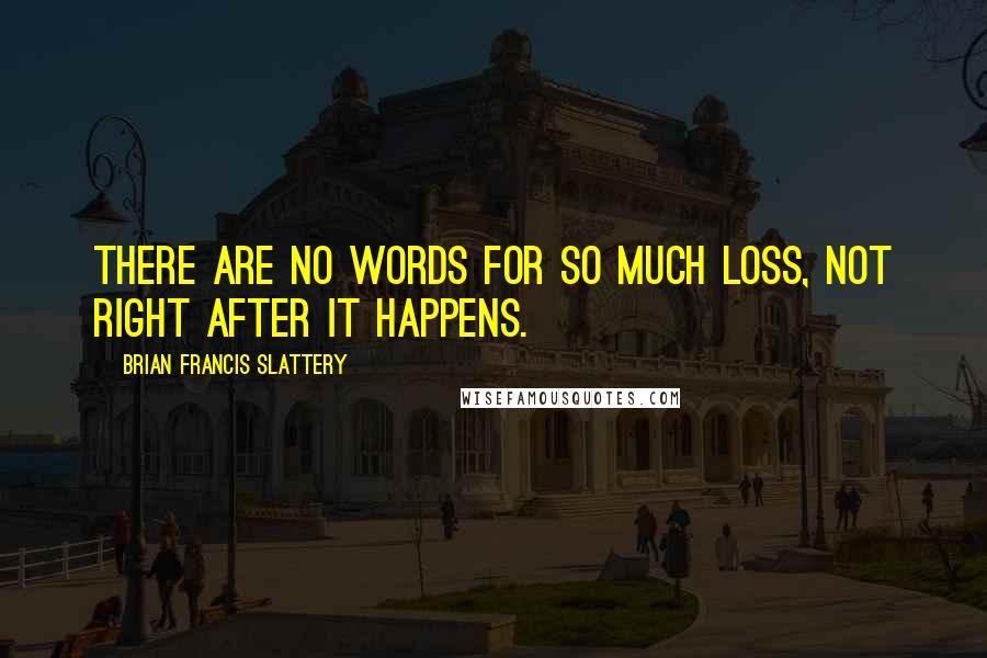 Brian Francis Slattery Quotes: There are no words for so much loss, not right after it happens.