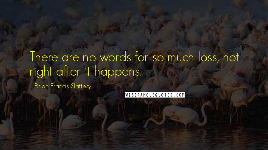 Brian Francis Slattery Quotes: There are no words for so much loss, not right after it happens.