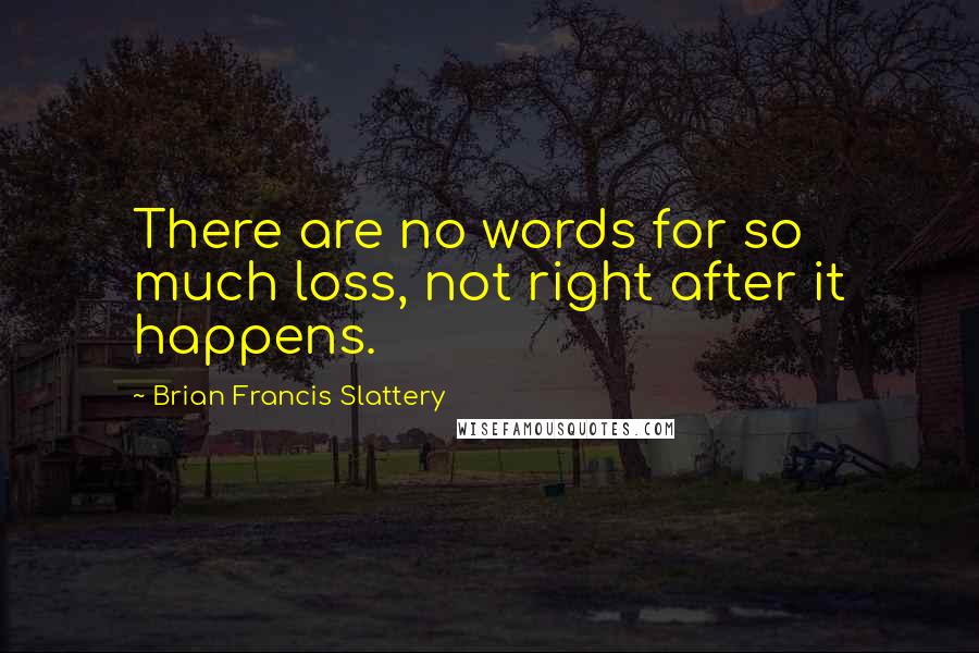 Brian Francis Slattery Quotes: There are no words for so much loss, not right after it happens.