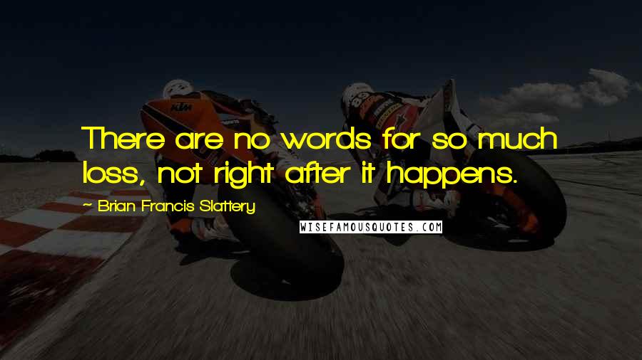 Brian Francis Slattery Quotes: There are no words for so much loss, not right after it happens.