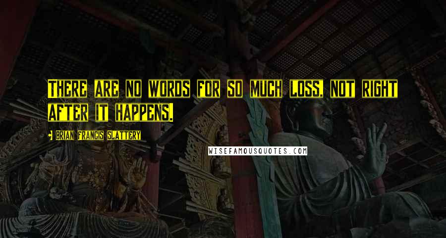 Brian Francis Slattery Quotes: There are no words for so much loss, not right after it happens.