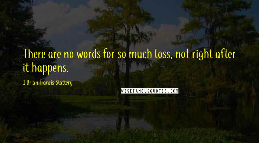 Brian Francis Slattery Quotes: There are no words for so much loss, not right after it happens.