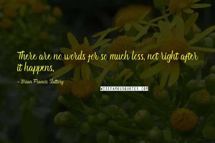 Brian Francis Slattery Quotes: There are no words for so much loss, not right after it happens.