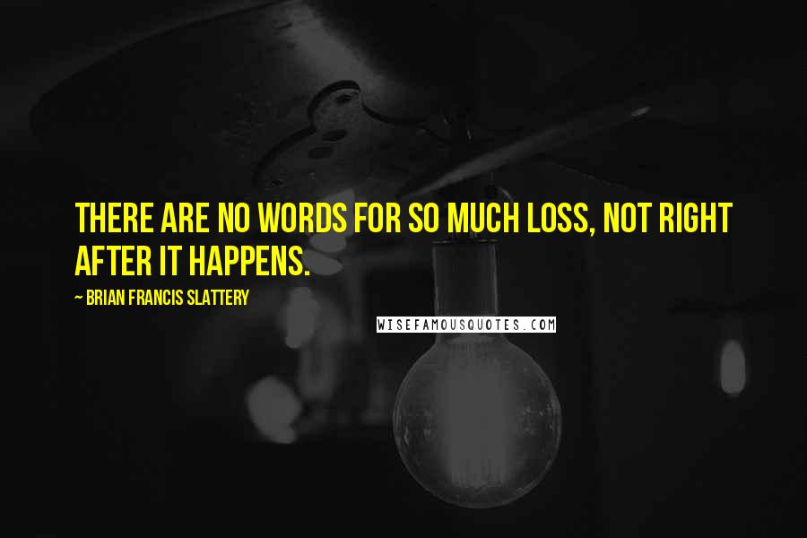 Brian Francis Slattery Quotes: There are no words for so much loss, not right after it happens.