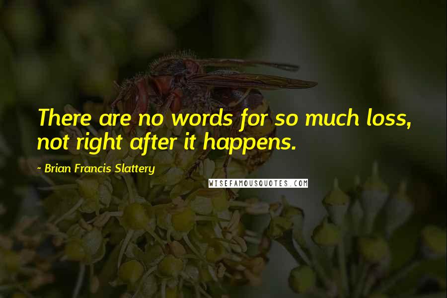 Brian Francis Slattery Quotes: There are no words for so much loss, not right after it happens.